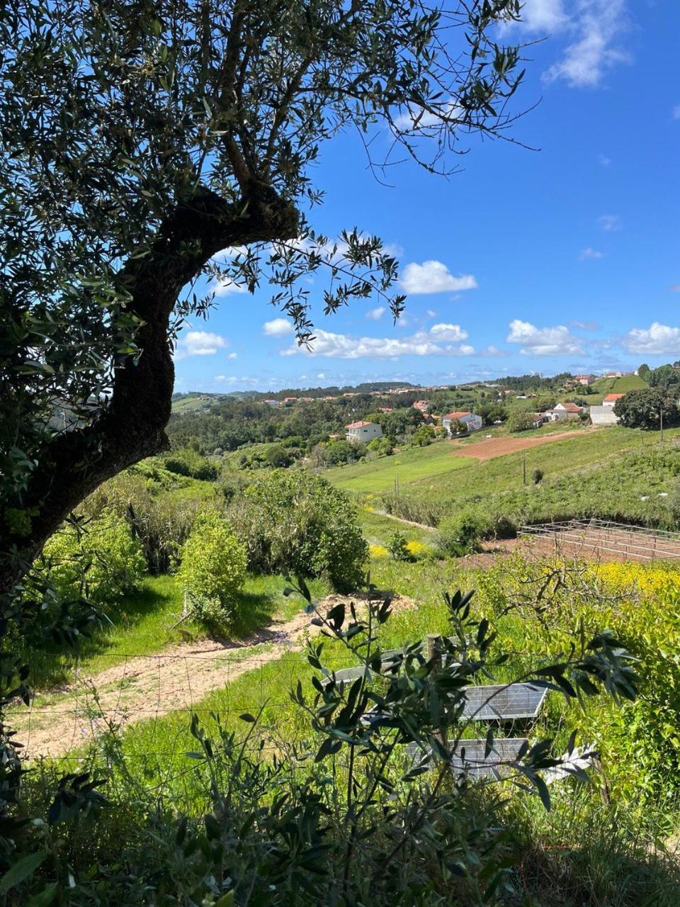 Quinta Laranja - Turismo Rural - Alvorninha ภายนอก รูปภาพ