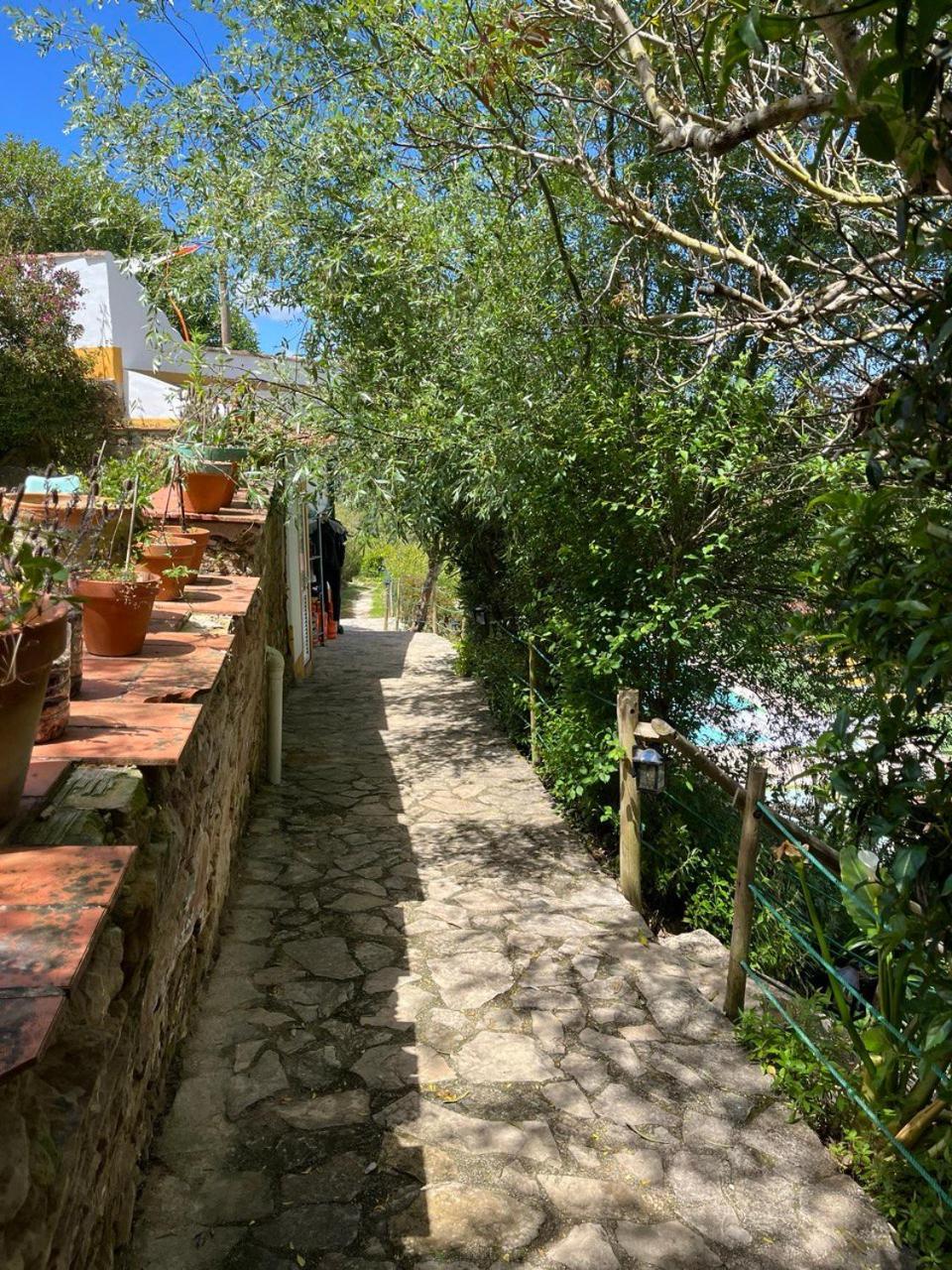 Quinta Laranja - Turismo Rural - Alvorninha ภายนอก รูปภาพ