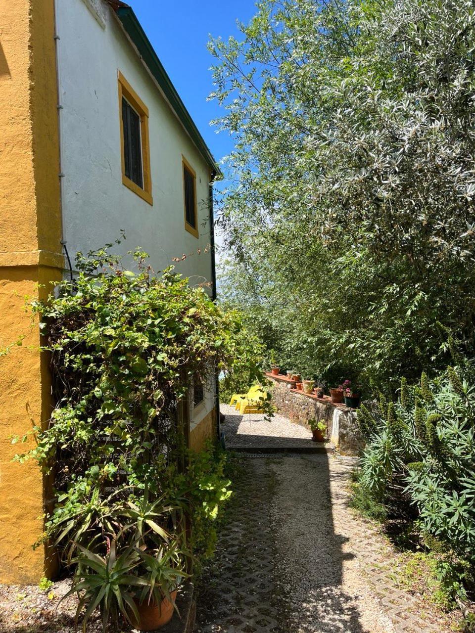 Quinta Laranja - Turismo Rural - Alvorninha ภายนอก รูปภาพ