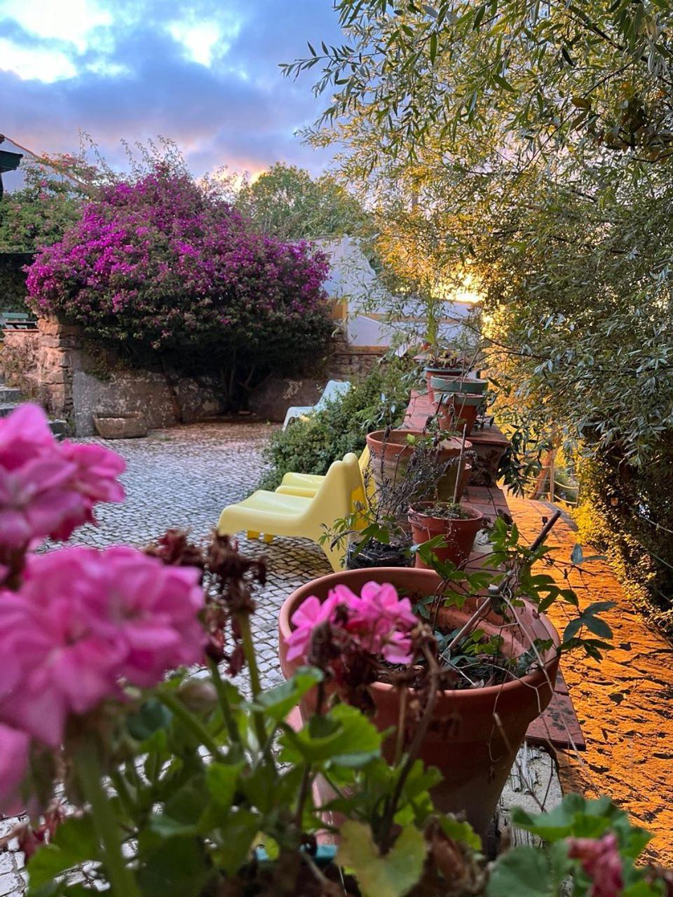 Quinta Laranja - Turismo Rural - Alvorninha ภายนอก รูปภาพ