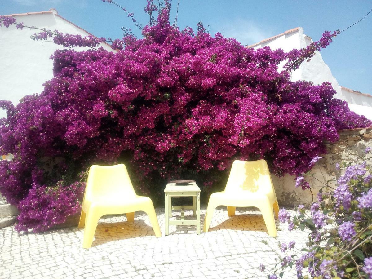 Quinta Laranja - Turismo Rural - Alvorninha ภายนอก รูปภาพ