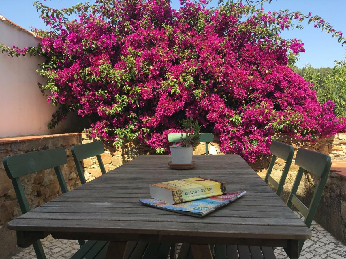 Quinta Laranja - Turismo Rural - Alvorninha ภายนอก รูปภาพ